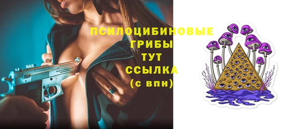 не бодяженный Арсеньев